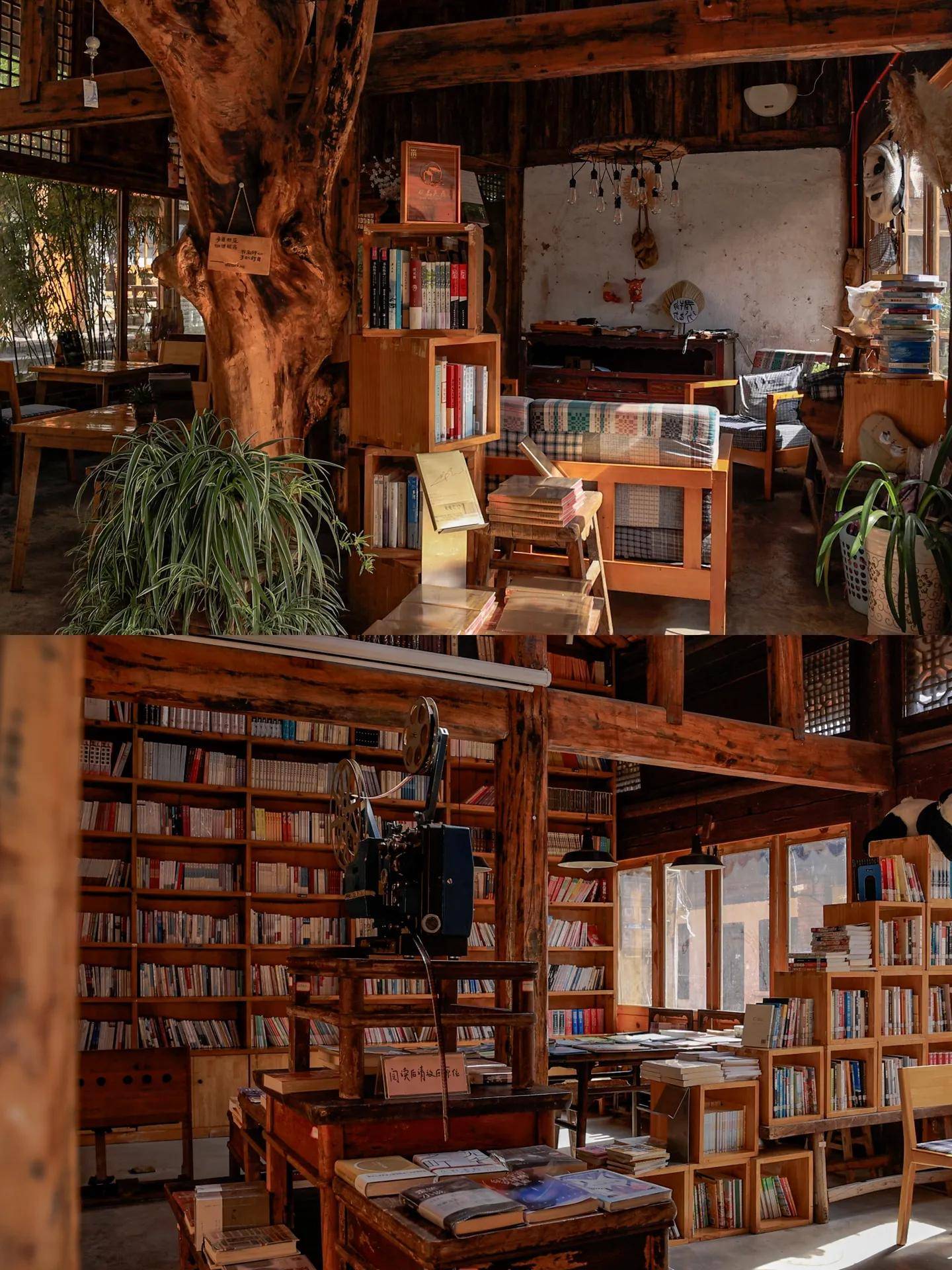 睡进书房是一种什么感觉打卡留坝老街上的宝藏民宿