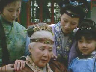 红楼梦:王夫人不疼爱孙子贾兰,其实也是情理之中的事_贾宝玉_儿子