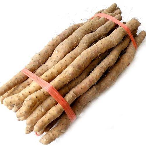 温县垆土铁棍山药3000年历史传承本草纲目中的养生瑰宝