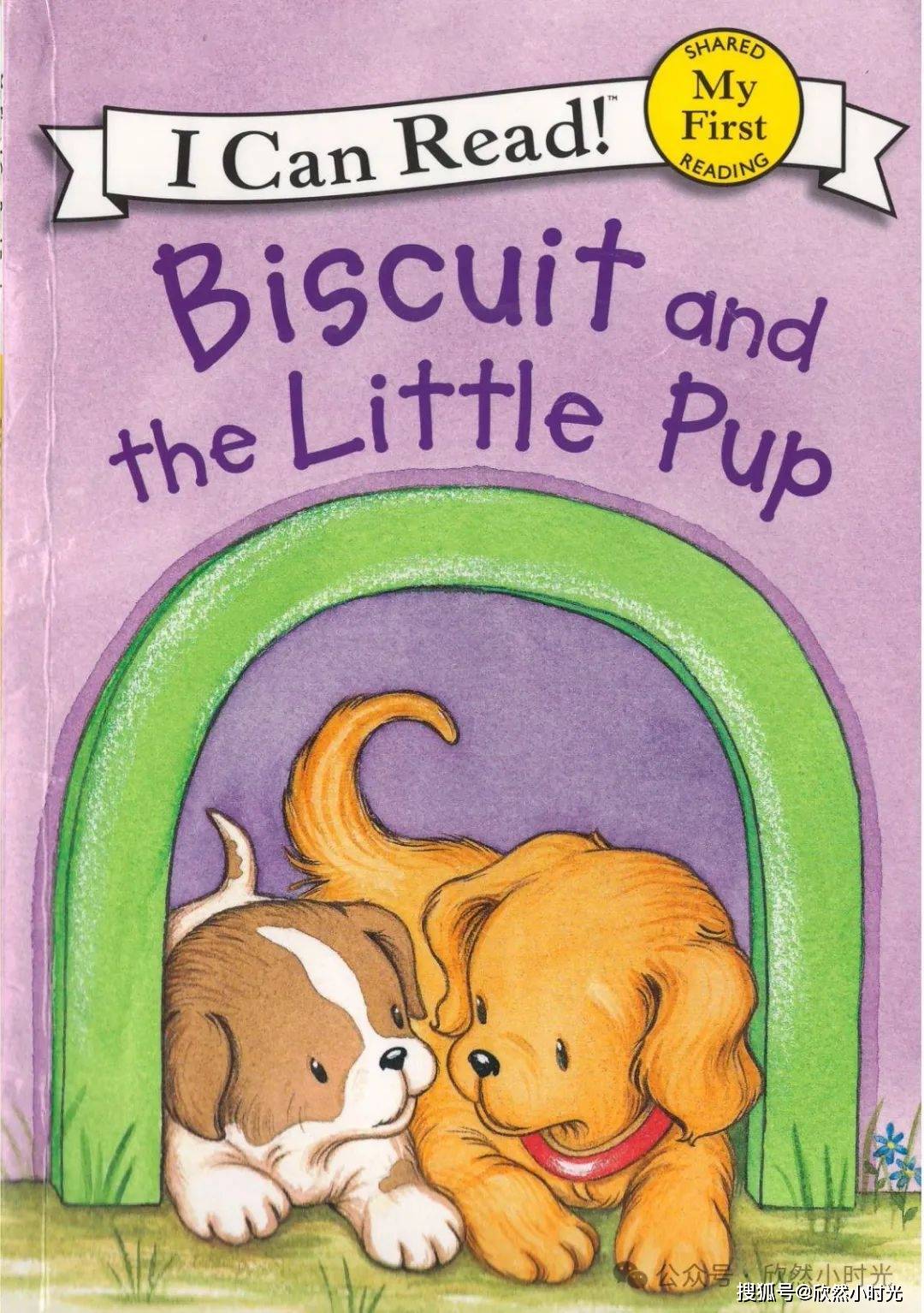 【英文绘本】biscuit and the little pup