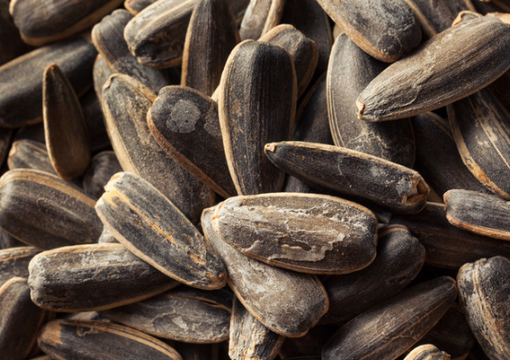 吃瓜子就是在喝油?瓜子还能不能吃?进来看看,别自己瞎猜了_时候_人体_