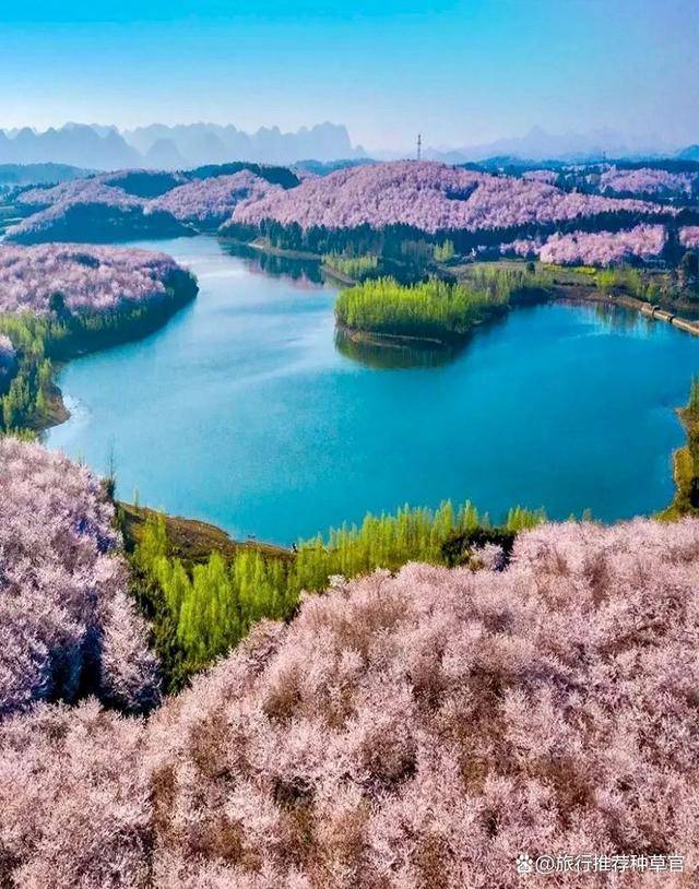 春季贵州赏花旅游景点推荐贵州平坝樱花旅游攻略旅游达人推荐