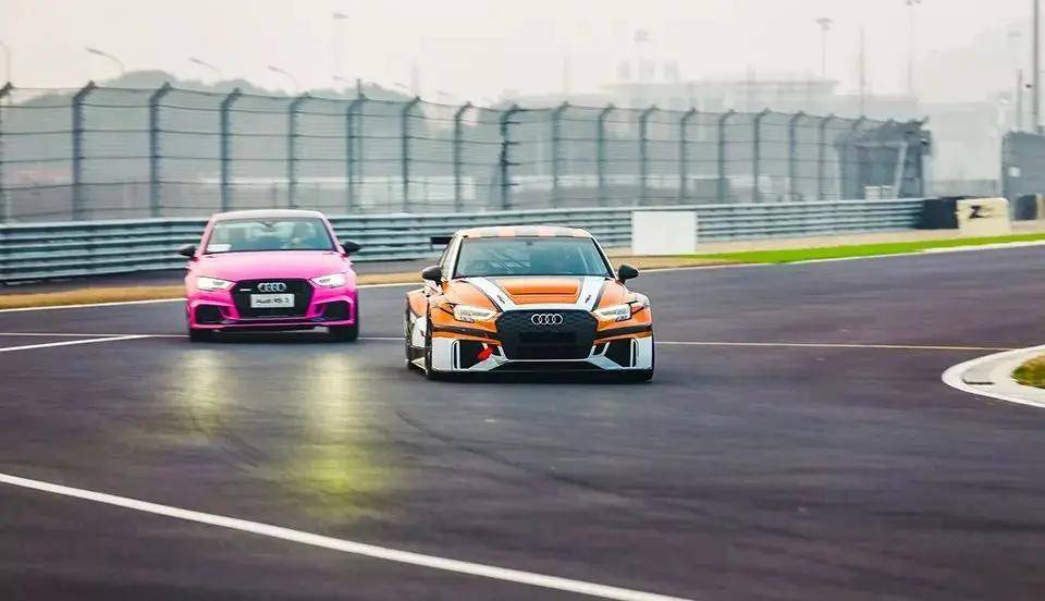 收好这份赛道攻略,你的买菜车也能"逮虾户"_搜狐汽车_搜狐网