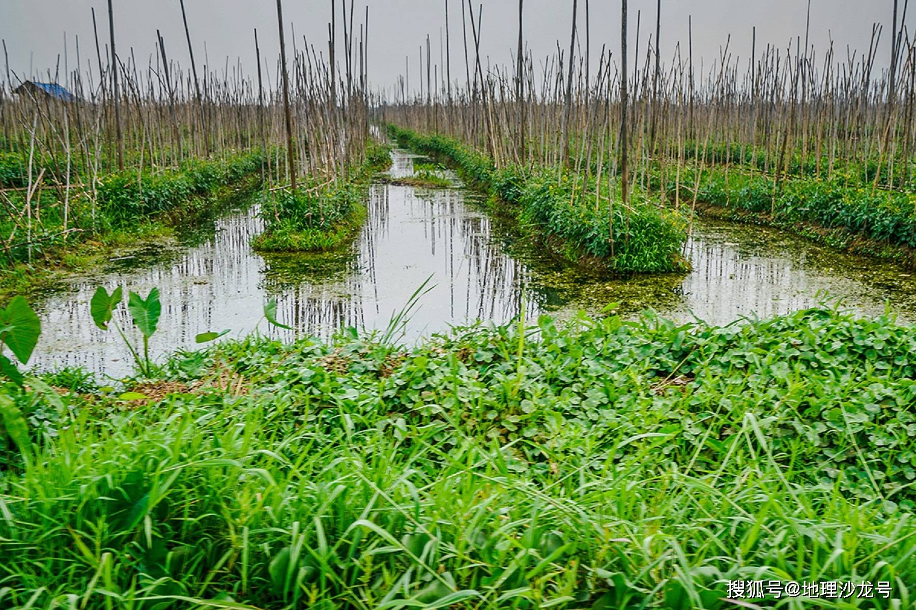 原创缅甸因莱湖当地居民为什么会采用浮岛种植的农业生产方式