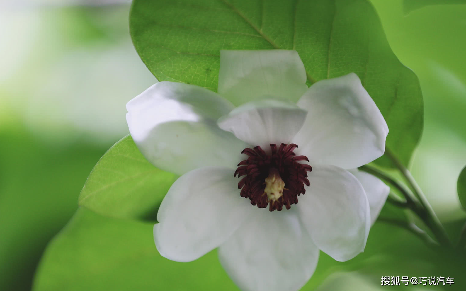 原创12星座男容易女友的闺蜜走在一起的星座他们就爱窝边草