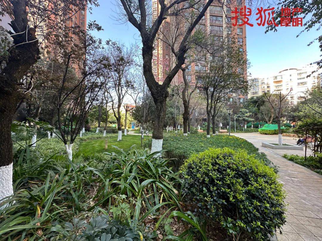 坏消息:只有1m宽的采光_红星_小区_设计