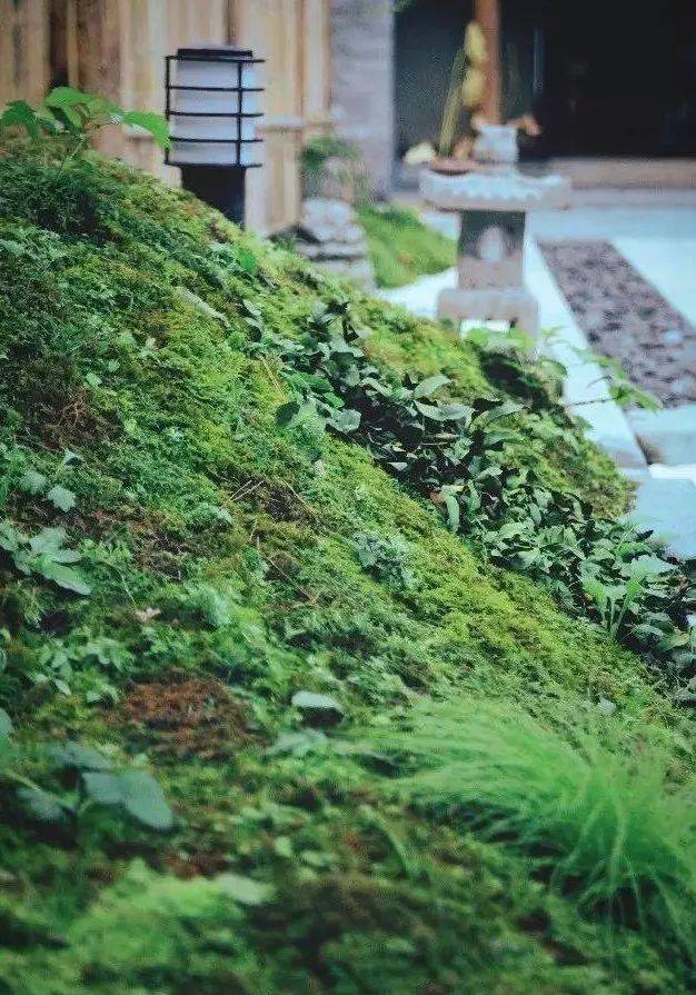 唐风合院木制建筑的温文尔雅theeleganceofthewoodenbuilding