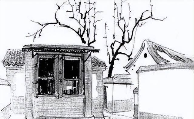 鲁迅为何要写"一株是枣树,另一株也是枣树",韩寒:没什么深意