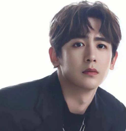 nichkhun是2pm成员,因与victoria  victoria合作《我们结婚吧》而走红