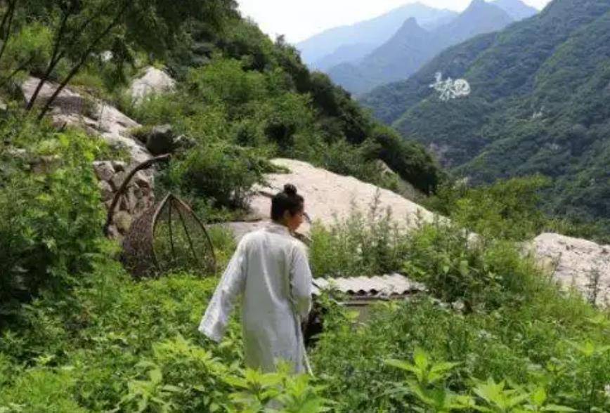 原创陆地神仙张至顺在终南山隐居70年计算自己104岁羽化登仙