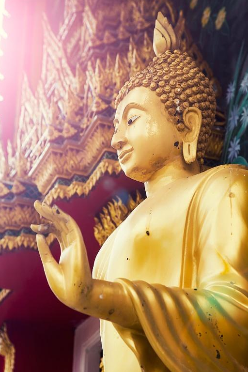 历史上的佛教对现在有什么样的影响?_素食_原因_生命