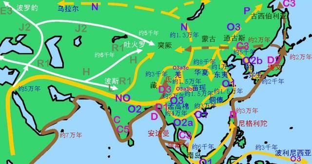 原创世界人类基因图谱简介原来世界所有人类都是是单一的起源