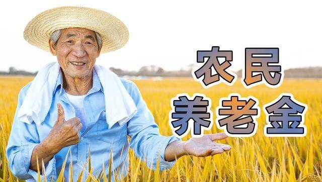 政协委员建议:全国农民养老金上调100元,评论区让人心酸