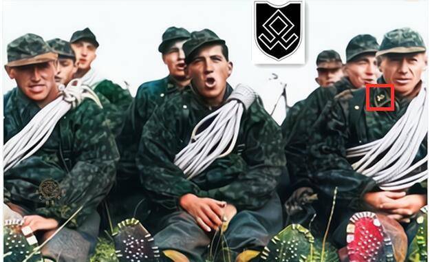 原创党卫军到底能不能打为何个别师让苏联咬牙切齿个别却默默无闻