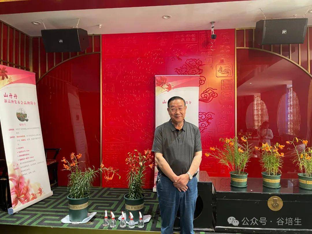 两年弹指过励志有蹉跎