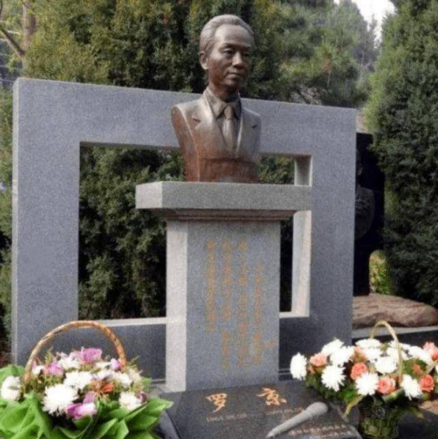 原创央视主播人罗京去世12年母亲仍不知其死讯妻子改嫁富商引质疑
