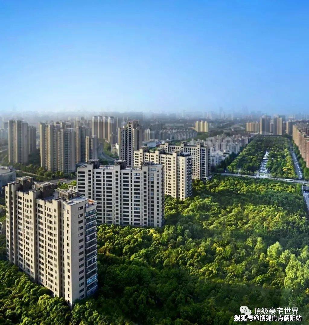 中鹰黑森林_中鹰黑森林售楼部欢迎您丨中鹰黑森林官方网站-中鹰黑森林