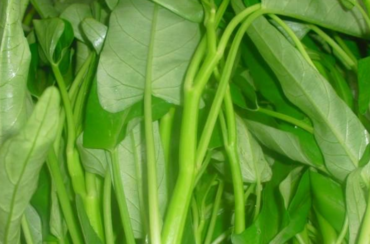 三月这菜是个宝,2元一把,女人吃了益气补血,孩子吃了还防龋齿_空心菜