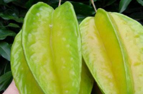 杨桃_味道_表面