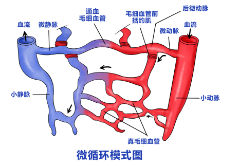 早期识别白癜风的信号：有效应对健康挑战