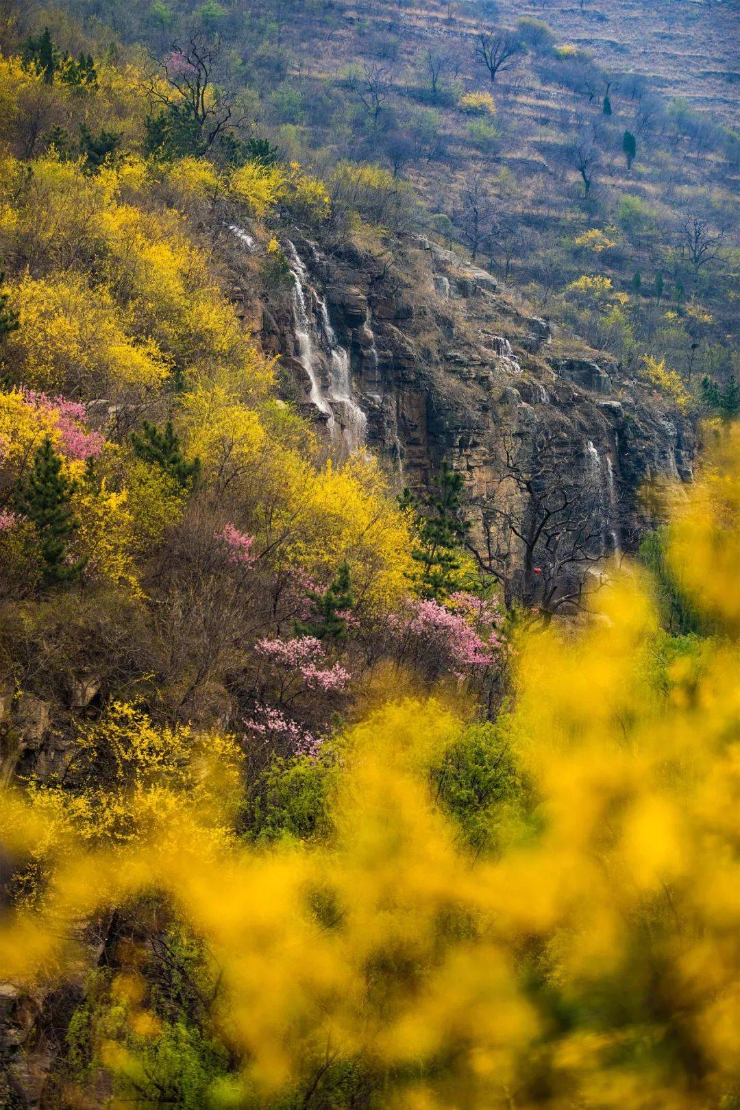 03春山渐醒#spring接下来的淄博是齐山景区,开元溶洞景区,红莲湖,文昌