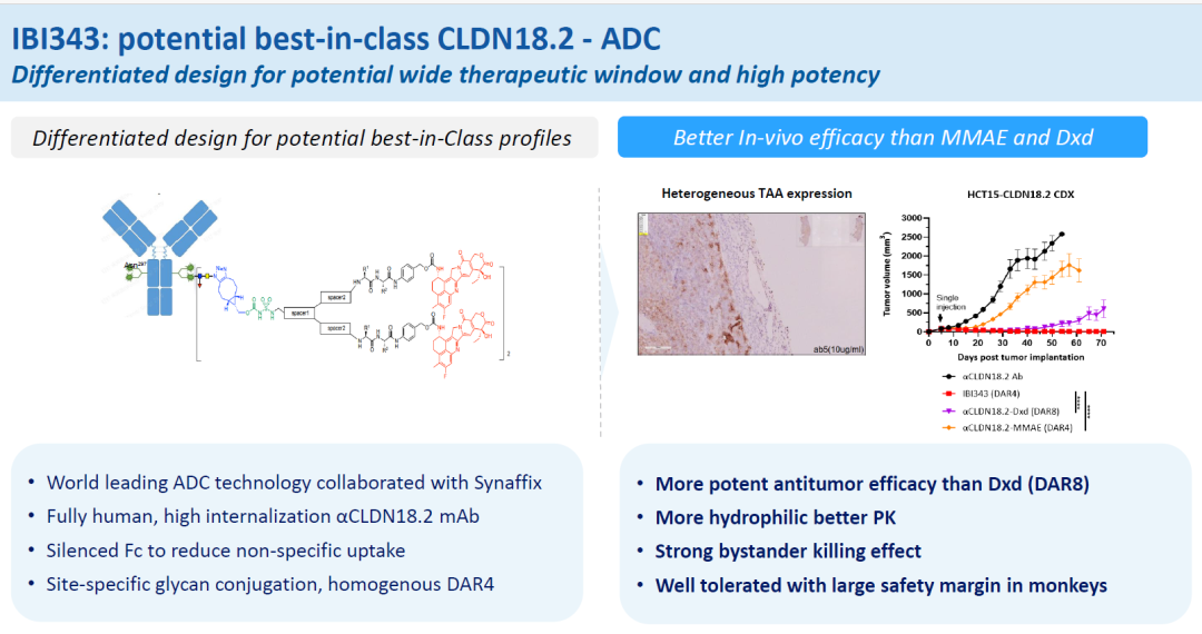 ibi343采用差异化设计,adc技术源自与synaffix的合作,glycan介导的