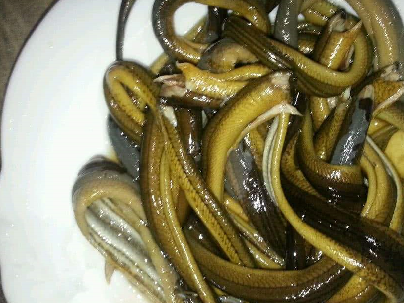 首先需要准备鳝鱼1000克,还有这些调料:味精1克,香醋115克,白胡椒1克)