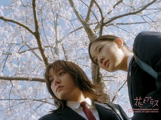 适合晚上一个人躲在被窝里看的电影_思考_时刻_情感