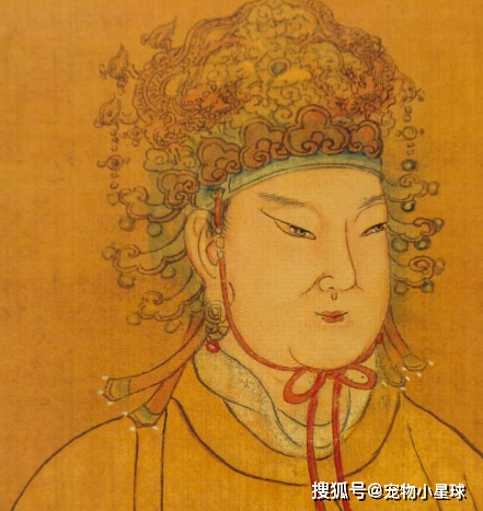 杨玉环为什么没成皇后与唐朝皇帝身份有关和爱情没半毛钱关系