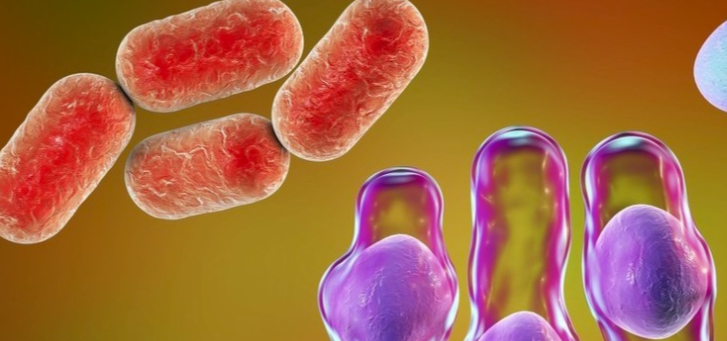 什么是x病毒_防范_传播_威胁