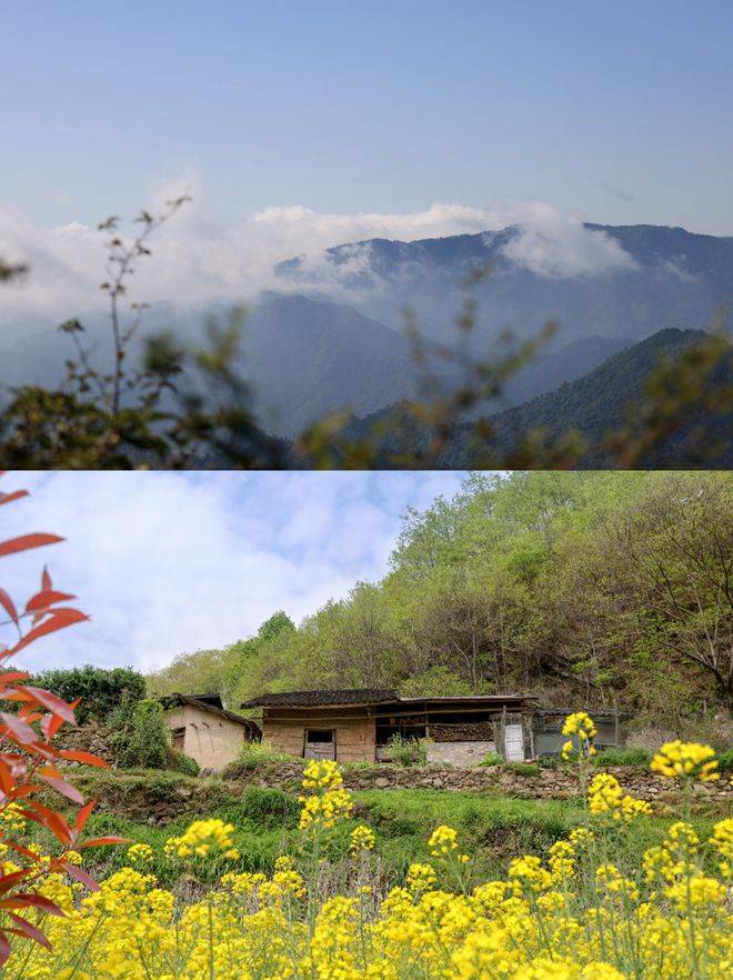 留坝春游指南书来春光里躺一躺