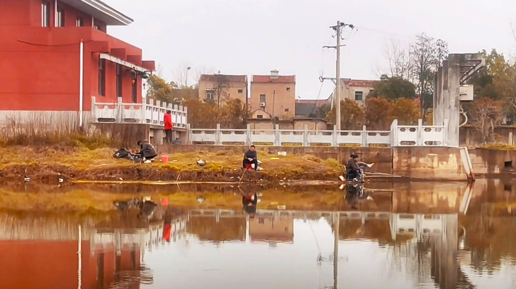原创初春垂钓武汉孝感边界处一条小河水草丰茂的位置大板鲫上不停