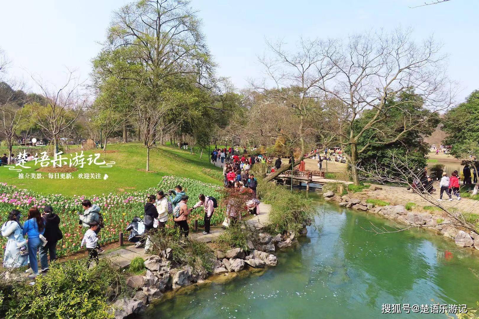 原创杭州太子湾公园又火了郁金香花展开始了但外地游客不妨再等等