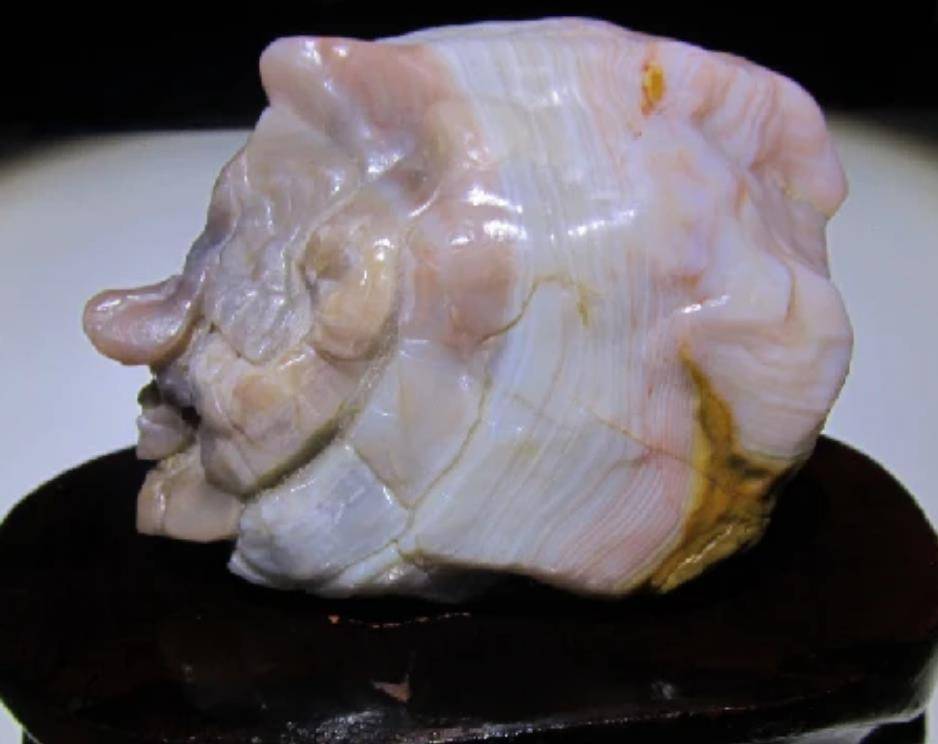 原创河南农民上山发现巨型猪肉石拒绝商家10万收购后来怎么样