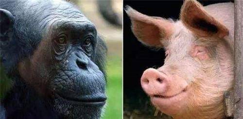 父母盼望其多活50年,如今怎样_雷纳德_医生_史蒂芬妮