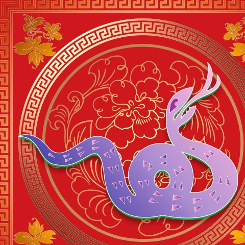 生肖蛇属蛇的女人风情万种,成为男人眼中的性感尤物,属蛇的女人聪明又