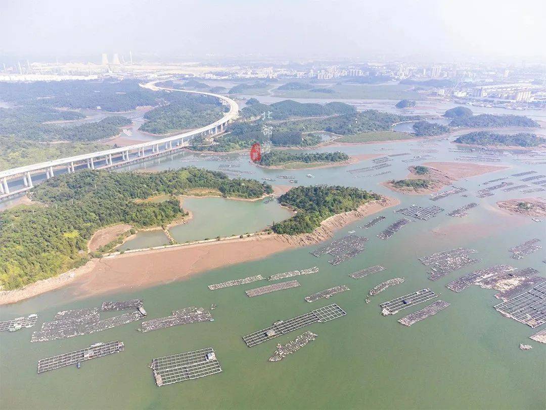 广西最长跨海大桥震撼出炉,惊叹基建狂魔的实力_钦州市_龙门_群岛