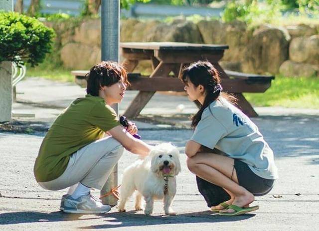 原创什么都不想做初恋治愈系如何成为这个时代剧集符号的