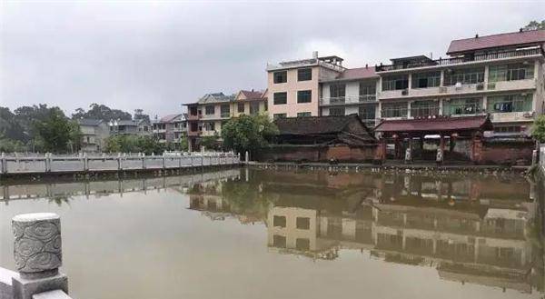 亲叔叔是地主第一个跳出来反对,被判处死刑_高雨_湖塘村_斗争