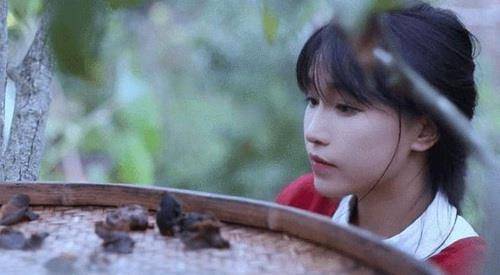 原创李子柒事件是什么为啥报警深挖个人详细资料和丈夫