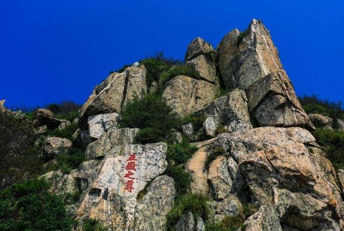 栈桥(回澜阁) 八大关风景区 五四广场 青岛海洋公园海底世界】day4