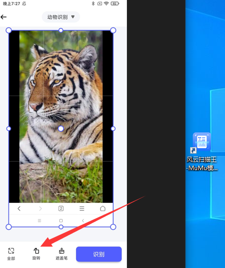 万物拍照识别工具有哪些分享一个好用的拍照识别工具