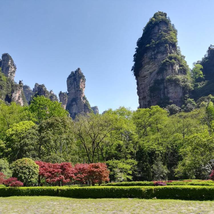 去张家界玩5天大概多少钱张家界自由行五天天多少钱