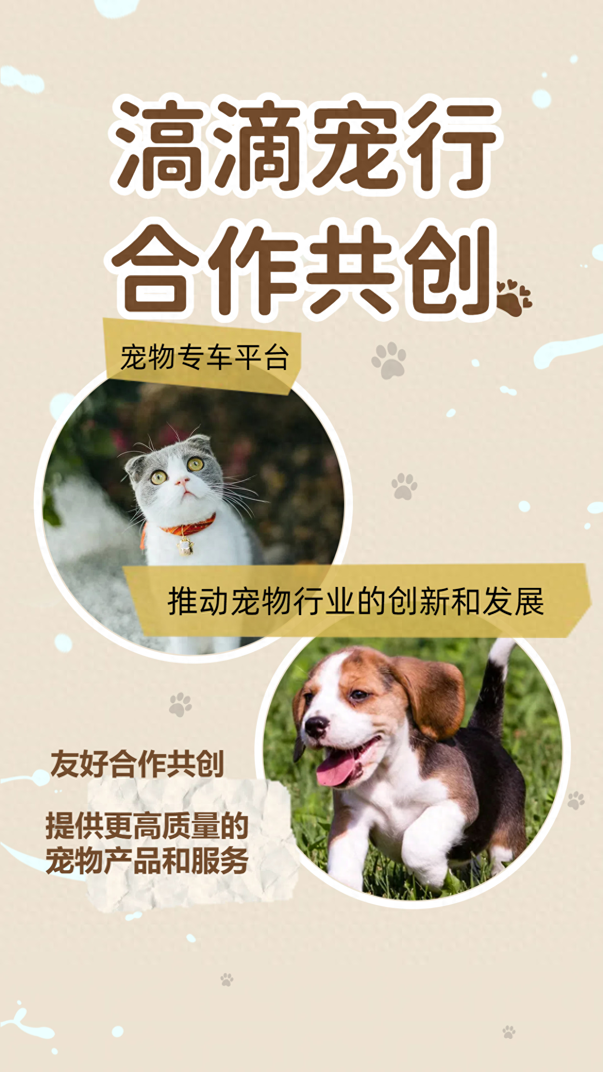 滈滴宠行聚焦宠物商家平台友好合作共创,助推宠物行业发展_服务_创新_