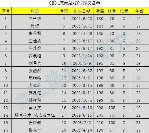 辽宁男篮球员工资表图片