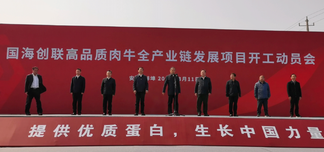 国海创联高品质肉牛全产业链发展项目开工动员会成功举办