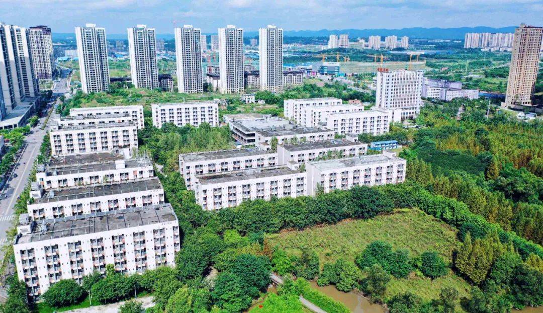 风里雨里我在重庆电讯职业学院等你
