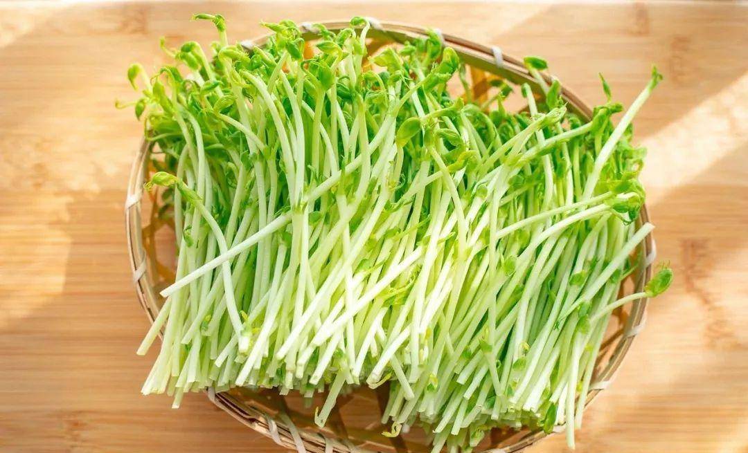 现在吃正是时候!_香椿_韭菜_芦笋