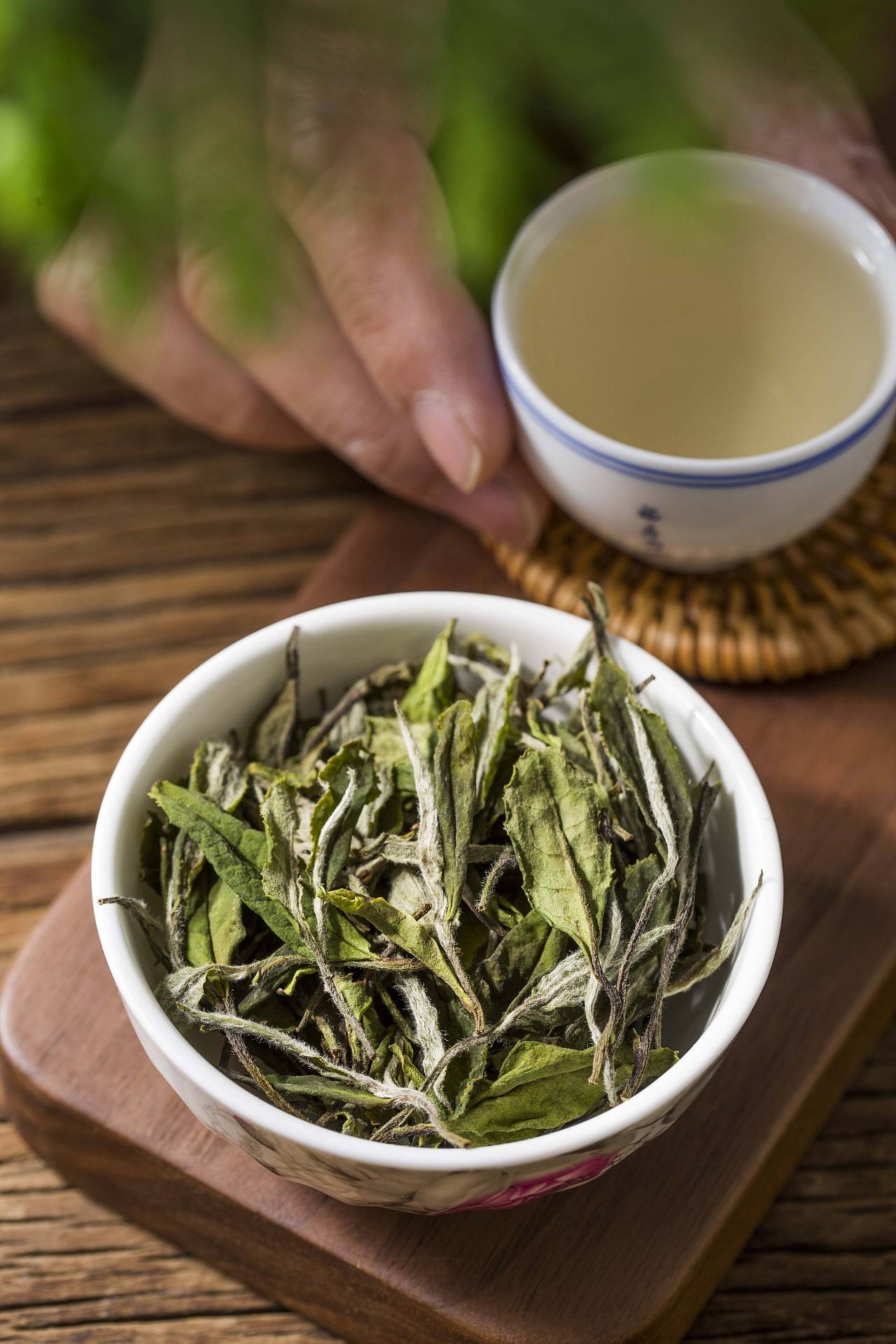 50万一斤的福鼎白茶,直播间卖9999,网红这么带货,不怕亏么?