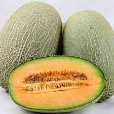 哈密瓜界的创业奇才_吕文_技术_成为了